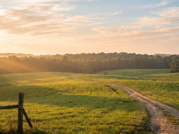 Open Carolina farmland at sunrise